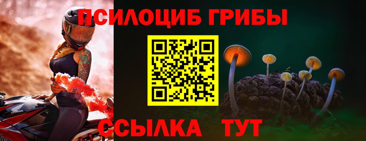Галлюциногенные грибы прущие грибы  Вход с VPN  Сочи 